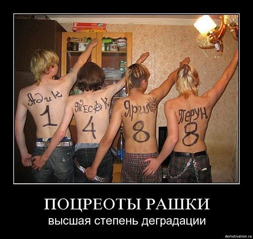 http://cs9409.vkontakte.ru/u68290320/109627464/x_e8c0bb1b.jpg